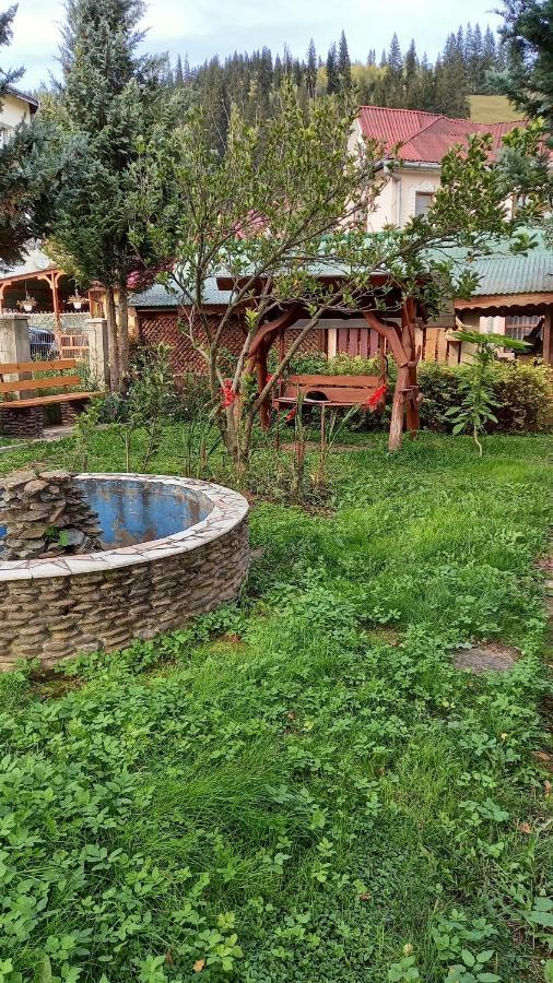Casa Cu Lavanda Vatra Dornei Exterior foto