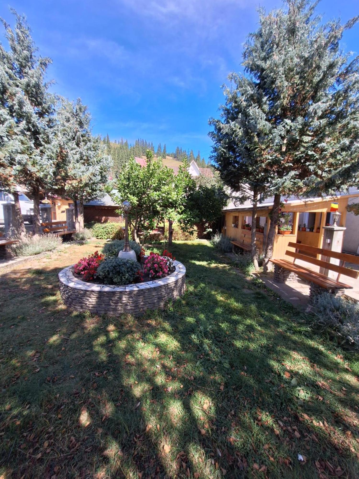 Casa Cu Lavanda Vatra Dornei Exterior foto